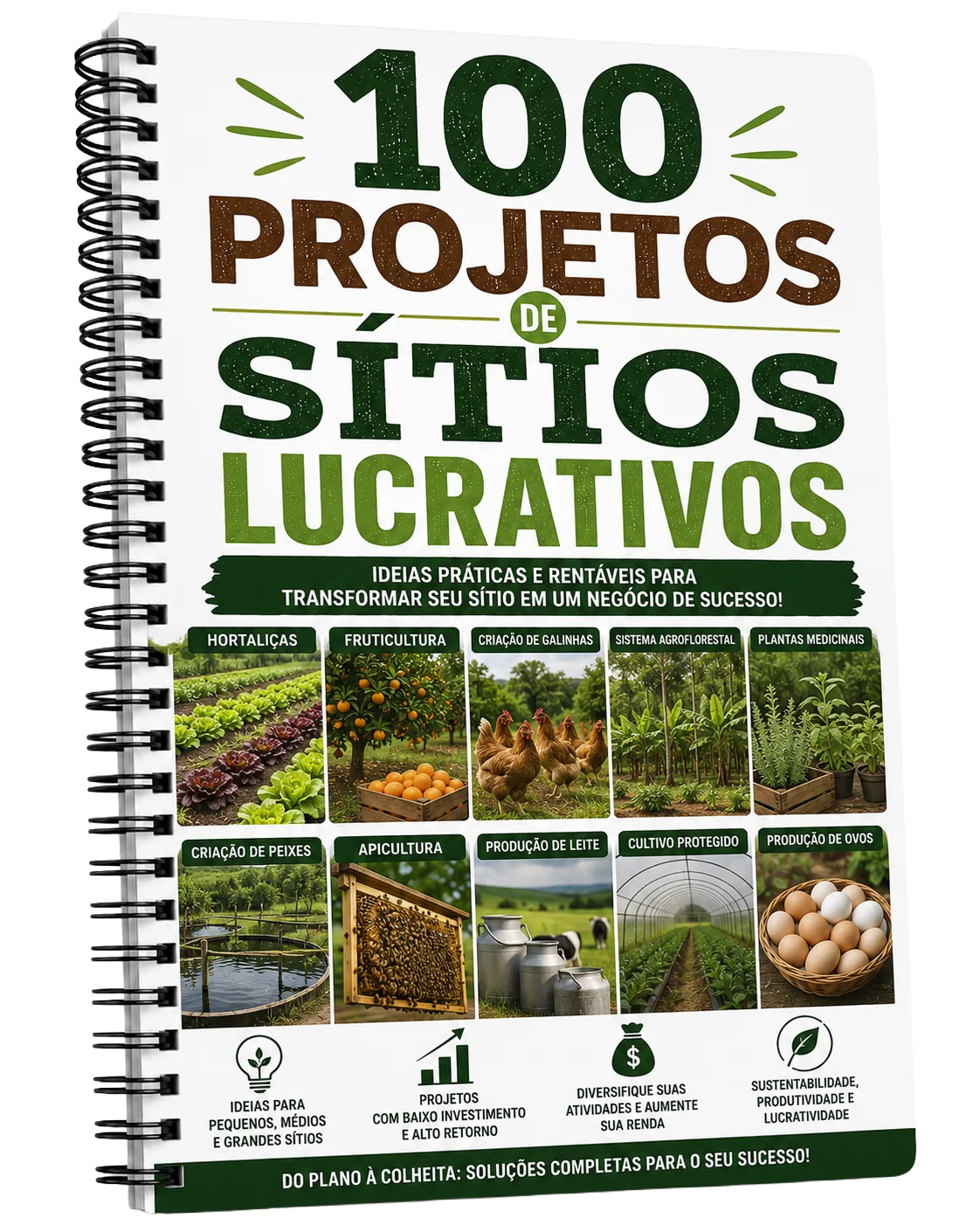Presente: 100 Projetos de Sítios Lucrativos